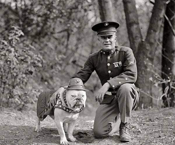 T-SHIRT U.S.M.C. / 1960s SERGEANT MAJOR JIGGS BULLDOG PRINT / RED - Image 8
