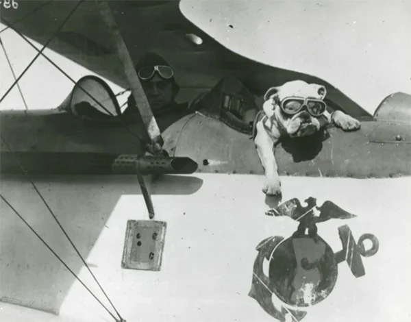 T-SHIRT U.S.M.C. / 1960s SERGEANT MAJOR JIGGS BULLDOG PRINT / RED - Image 9